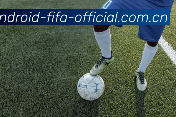 FIFA官方数据授权认证